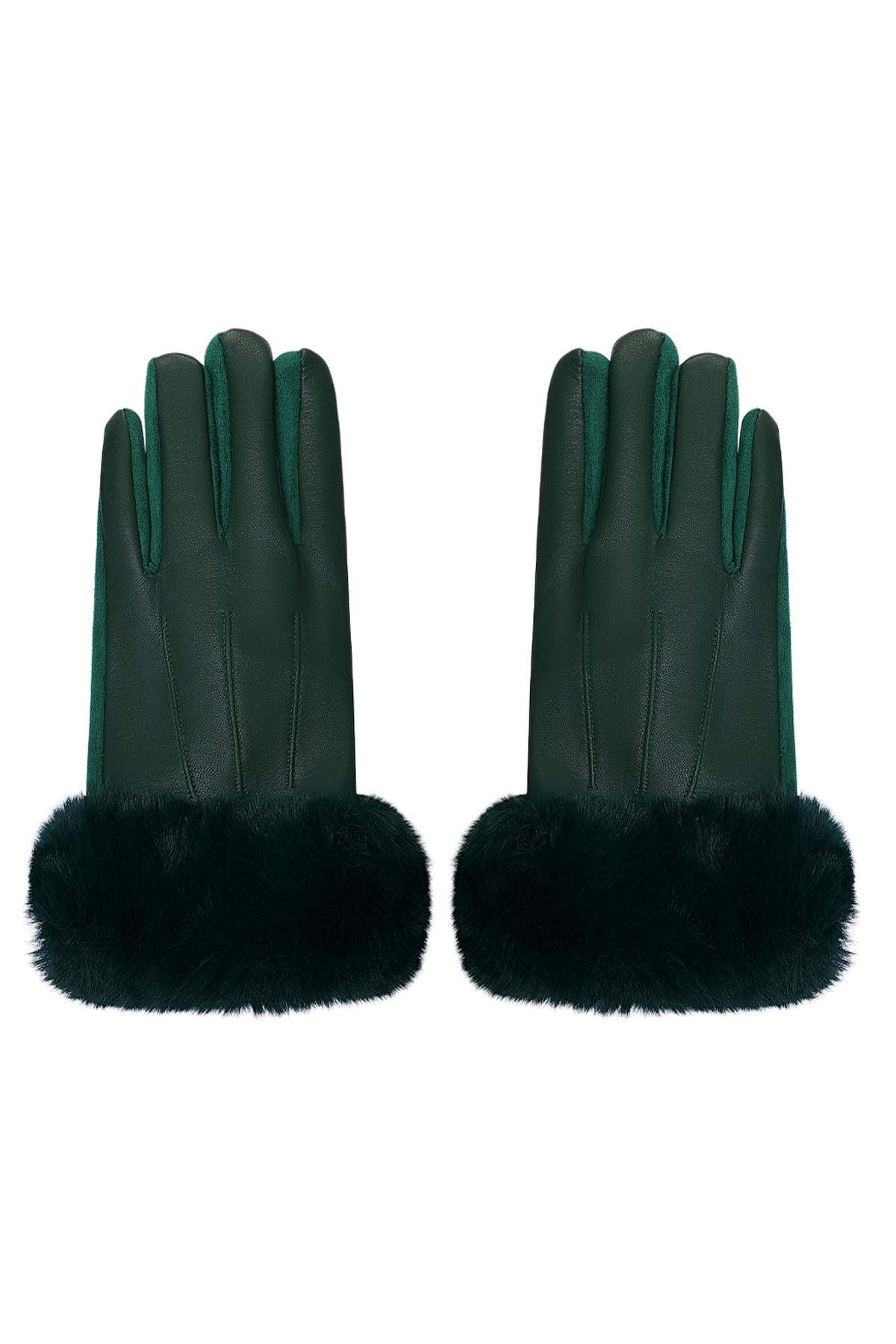 Gants avec fausse fourrure et aspect cuir - Apollodrop