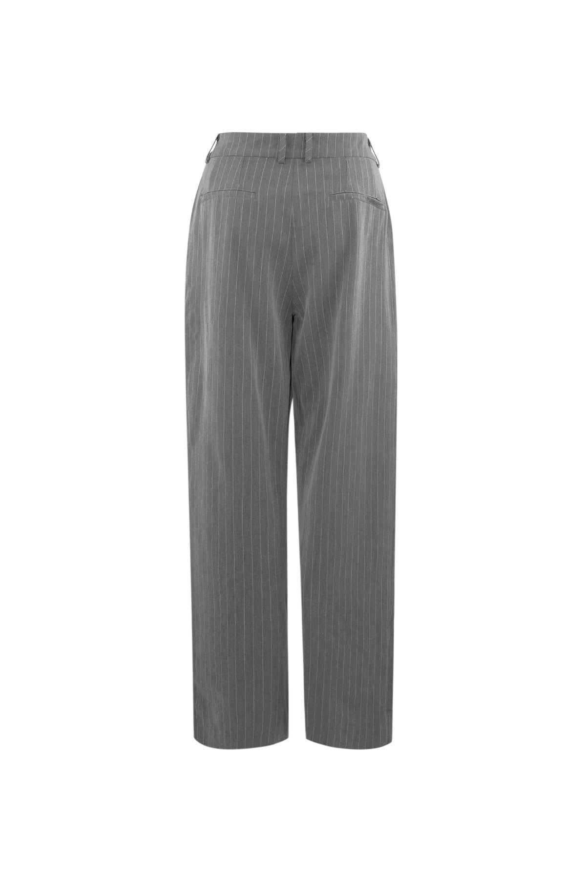 Pantalon large coupe tailleur - Apollodrop