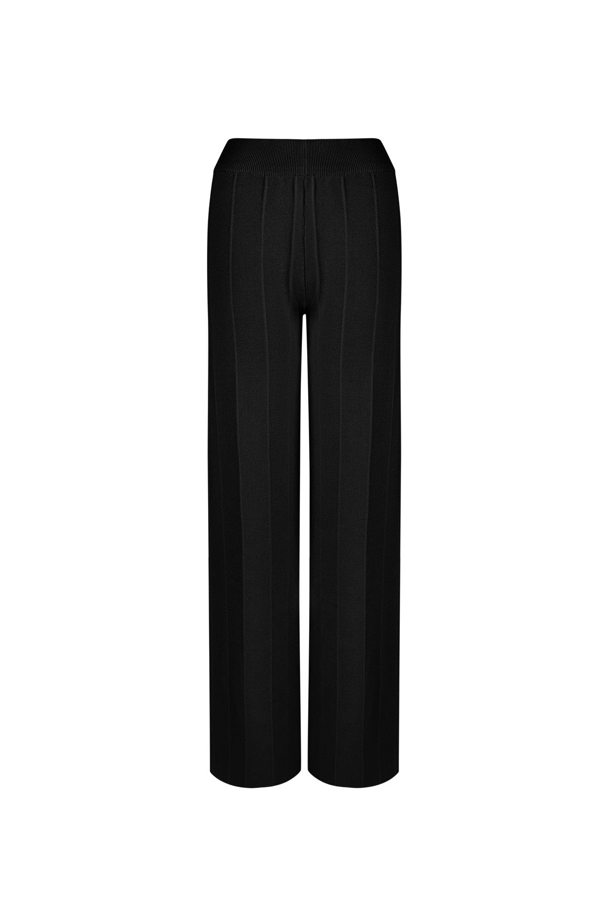 Pantalon tailleur wide leg - Apollodrop
