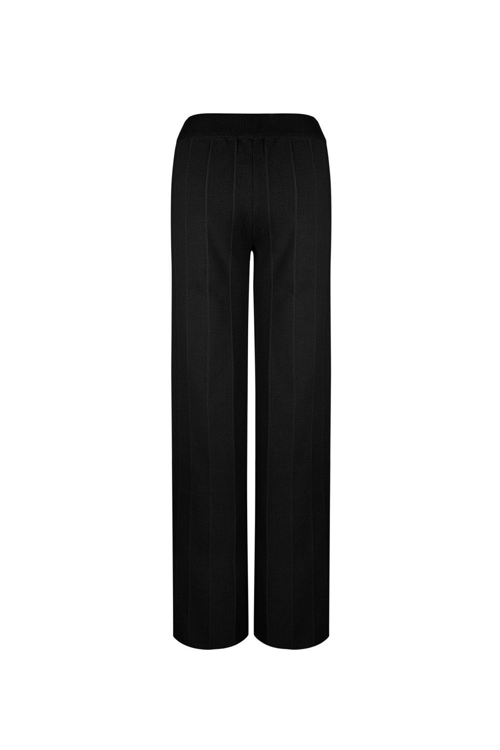 Pantalon tailleur wide leg - Apollodrop