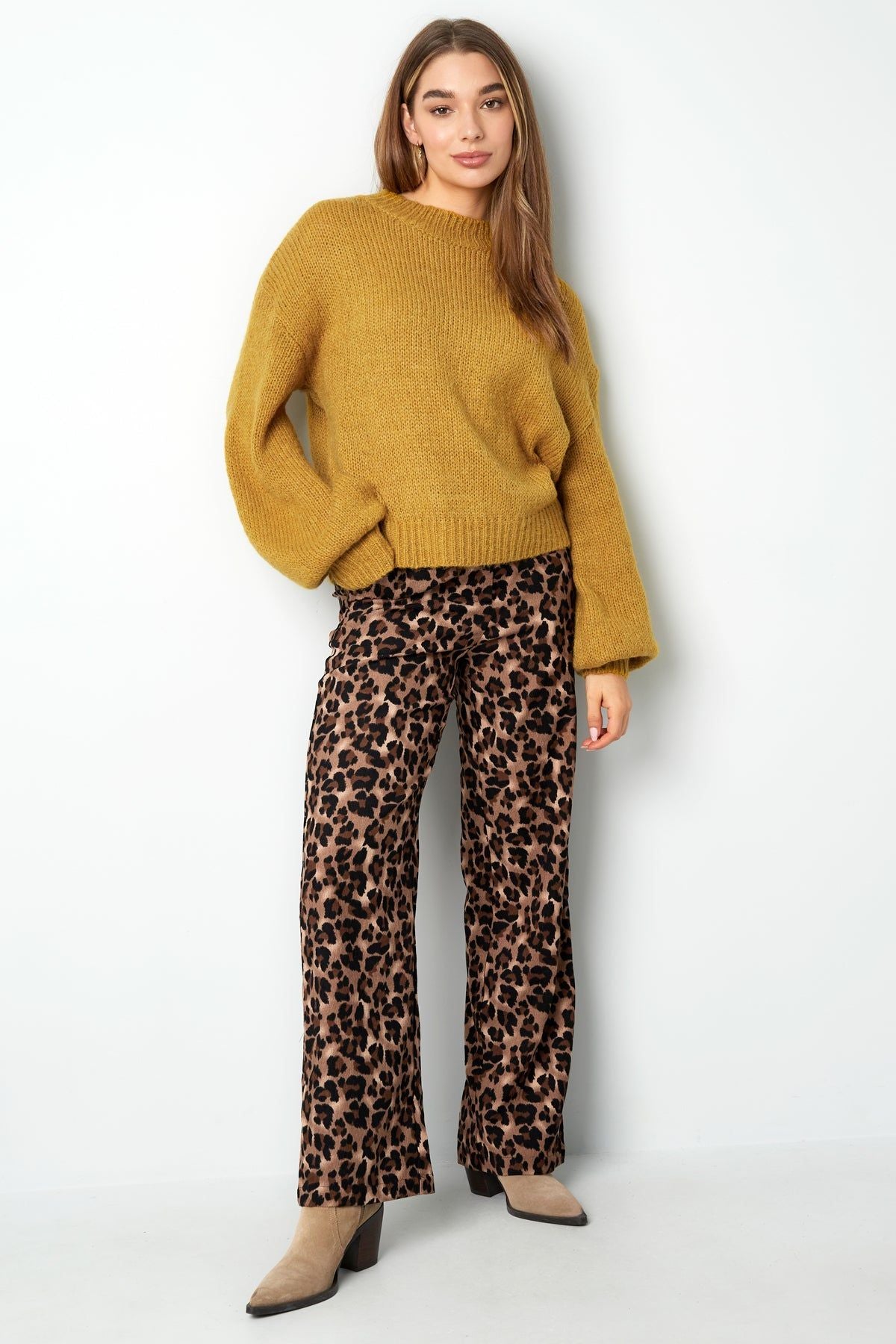 Pull col rond - Apollodrop